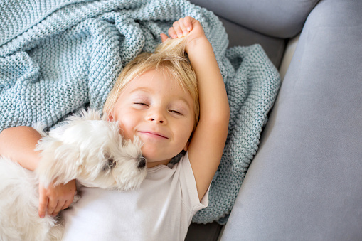 Prendre les précautions nécessaires dans la relation entre bébé et animaux de compagnie