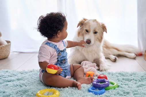 Quels jouets choisir pour divertir les enfants ?