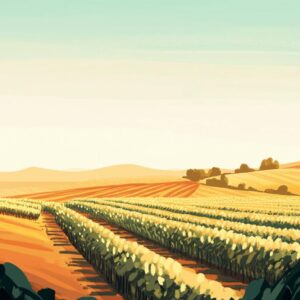 Meteo Agricole : L’outil indispensable pour anticiper les phases de semis